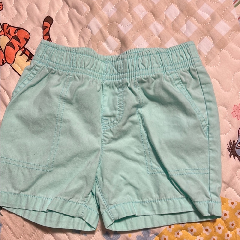 Mint Green Women's Shorts